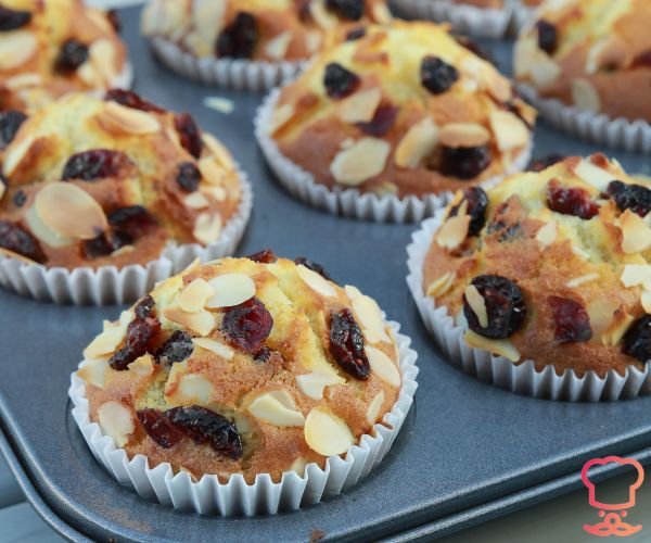 Blueberry Coconut Flour Muffins