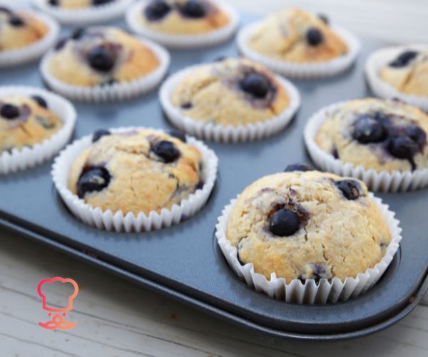 Blueberry Coconut Flour Muffins