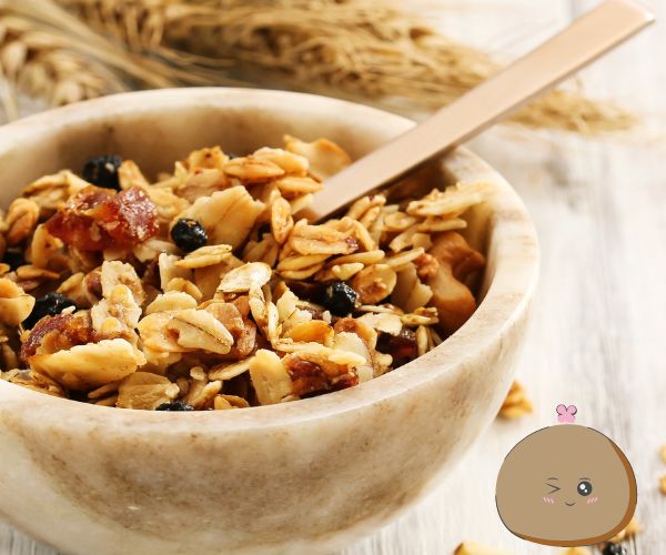 Healthy granola recipe no sugar