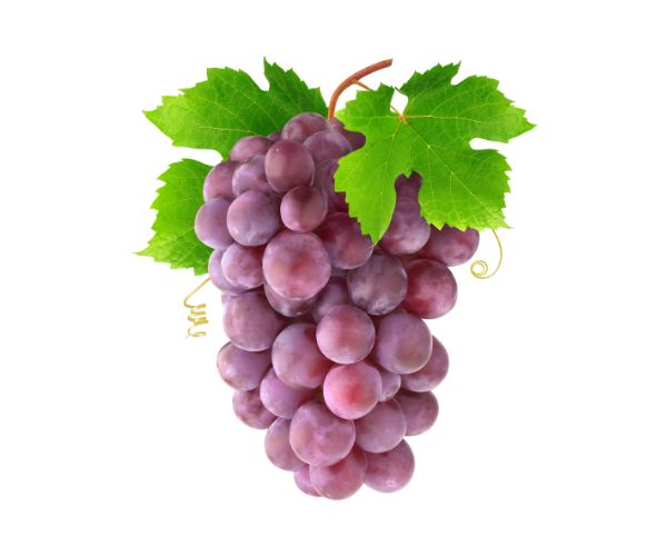 Red Grapes